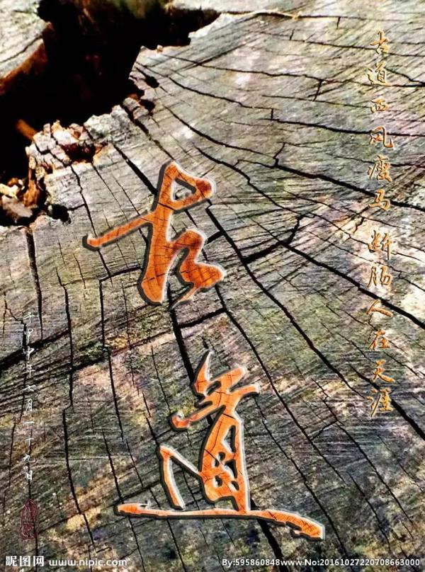 太行山大峽谷--大河村記