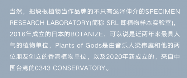 塊根｜在水泥世界中綻放的生命花火