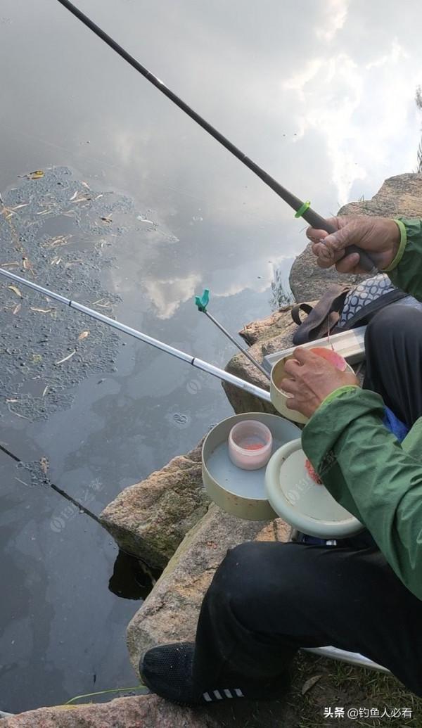向高齡釣友請教的“搖三搖”釣法，毫無保留的分享給大家