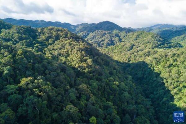 “飛閱”海南熱帶雨林國家公園 “飛閱”海南熱帶雨林國家公園