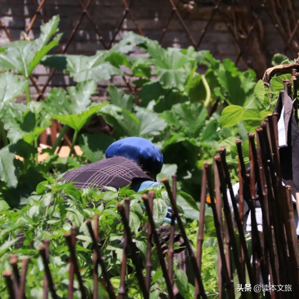 一個束河人的自白