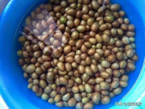 醃黃皮，放鹽醃就錯了，奶奶教我一招，醃好的黃皮好吃又不酸