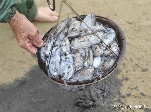 中國最適合北方人過冬的4座城市,空氣好風景佳美食多,適合養老 中國最適合北方人過冬的4座城市,空氣好風景佳美食多,適合養老