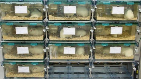 根納季-奧尼申科：美國在哈薩克的實驗室對中俄都是威脅