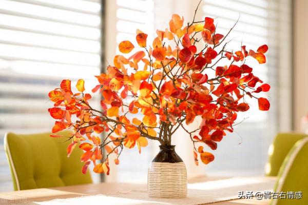 看清一個人,這12點就夠了 看清一個人,這12點就夠了