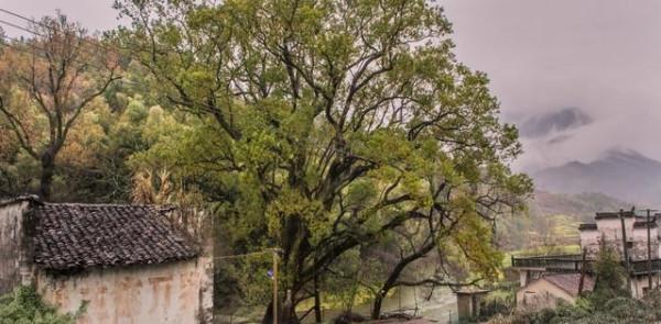 1990年,東北40歲婦女喝汽油喝農藥成癮,持續了10年,身體情況如何?