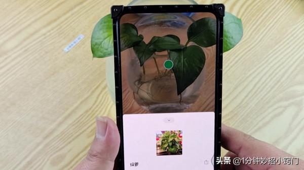 今天才知道,開啟微信掃一掃,還隱藏著這2個實用功能,太實用了 今天才知道,開啟微信掃一掃,還隱藏著這2個實用功能,太實用了