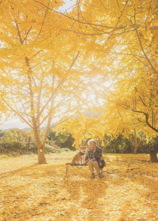 你有多久沒有回家看看了