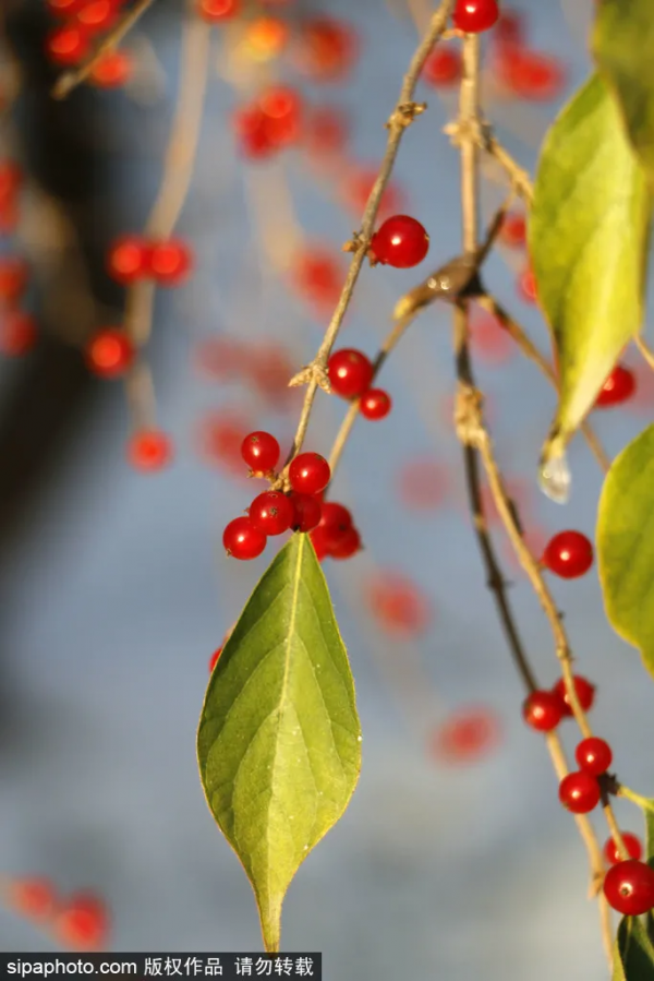 北京離“銀河”最近的地方!人少景美,就在三環邊上! 北京離“銀河”最近的地方!人少景美,就在三環邊上!