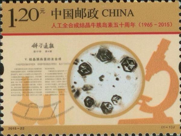 百年瞬間丨我國完成人工全合成結晶牛胰島素