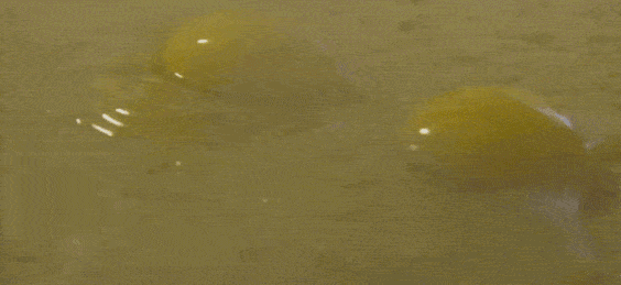 忽然,想去天津了 忽然,想去天津了