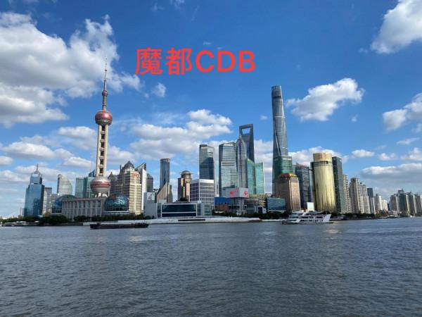 魔都之行看到繁華與心酸