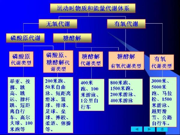有氧運動代謝能力有壞處？