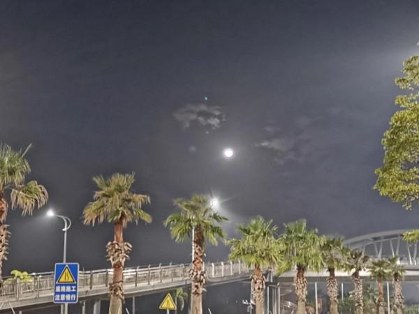 雙魚座|說的就是你,魚魚們 雙魚座|說的就是你,魚魚們