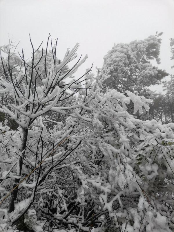 雪後登上饒靈山