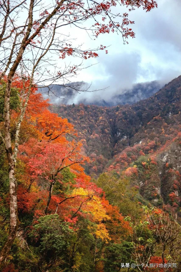 李子柒“隱居”地公開，這座比成都還安逸的城市，究竟是什麼地方