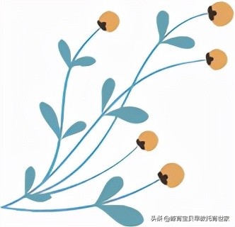 蒙特梭利教育金句，簡單實用的話可以說給孩子聽