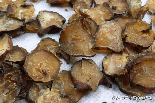 每日一中藥——附子