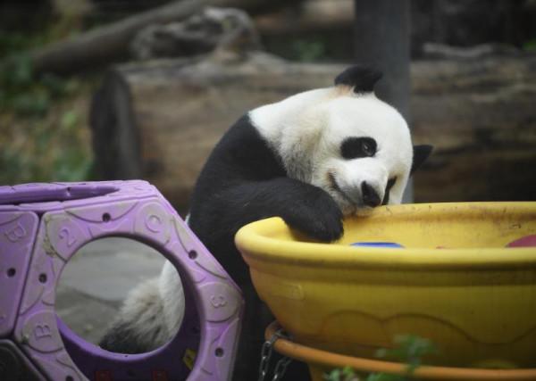 冬天給你的一封情書:秋天的味,科普的玄,公園的幻,它們的萌,都是你的美 冬天給你的一封情書:秋天的味,科普的玄,公園的幻,它們的萌,都是你的美