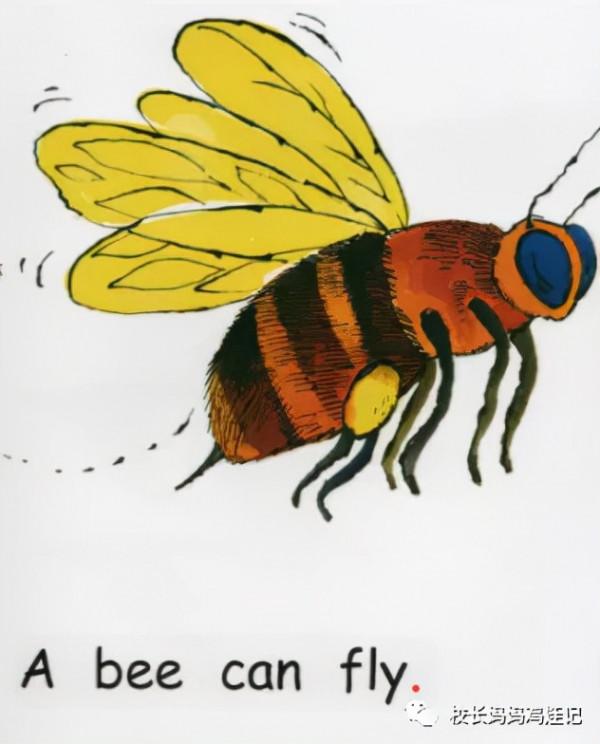 研究了小學和初中的英語教材,發現這難度也差太多了 研究了小學和初中的英語教材,發現這難度也差太多了