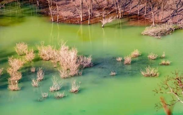 湖北鬱江：樹木與河水相映成趣