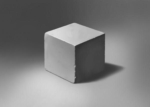 動物的背部腹部顏色不同？狹路相逢後，動物其實更精通反廕庇偽裝