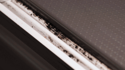 第3次裝修,不顧反對做了這15個家居決定,入住後直誇自己太聰明 第3次裝修,不顧反對做了這15個家居決定,入住後直誇自己太聰明