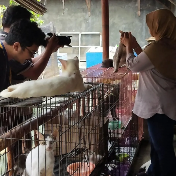 籌集到11噸的寵物糧,4噸已經送達基地,我們的愛心也在其中 籌集到11噸的寵物糧,4噸已經送達基地,我們的愛心也在其中