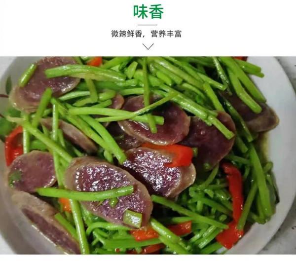 常品蘆蒿有助身體健康