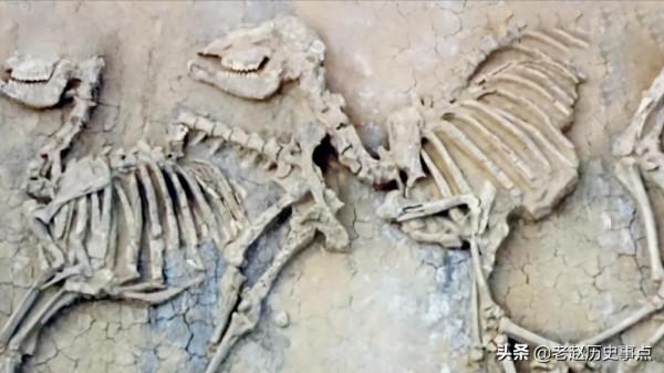 常山王陵發掘記:一場鬧劇,牽出一座驚天大墓,竟要當地駐軍保護 常山王陵發掘記:一場鬧劇,牽出一座驚天大墓,竟要當地駐軍保護