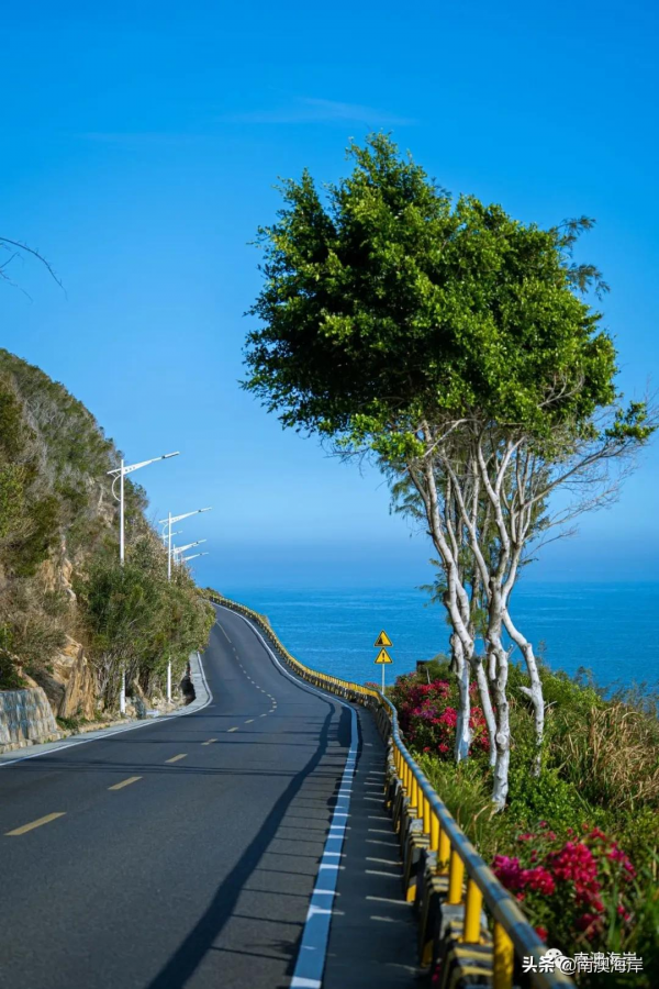 好想好想好想去南澳看海