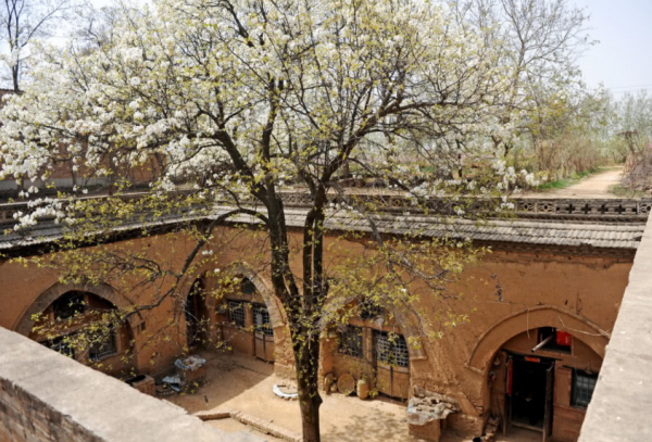 庭院種樹種“這4樣”好,寓意不錯,第3、4種開花又香又能吃 庭院種樹種“這4樣”好,寓意不錯,第3、4種開花又香又能吃