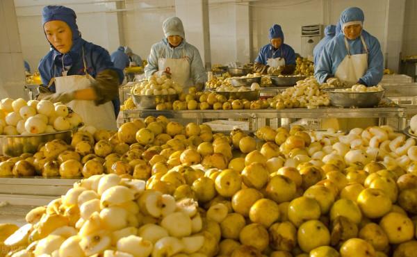 「生鮮行業」冷鏈供應鏈該如何打造? 「生鮮行業」冷鏈供應鏈該如何打造?