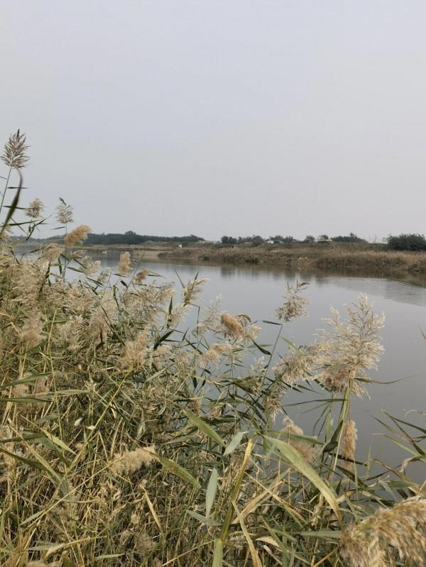 讓我們一起行動起來，保護釣魚環境