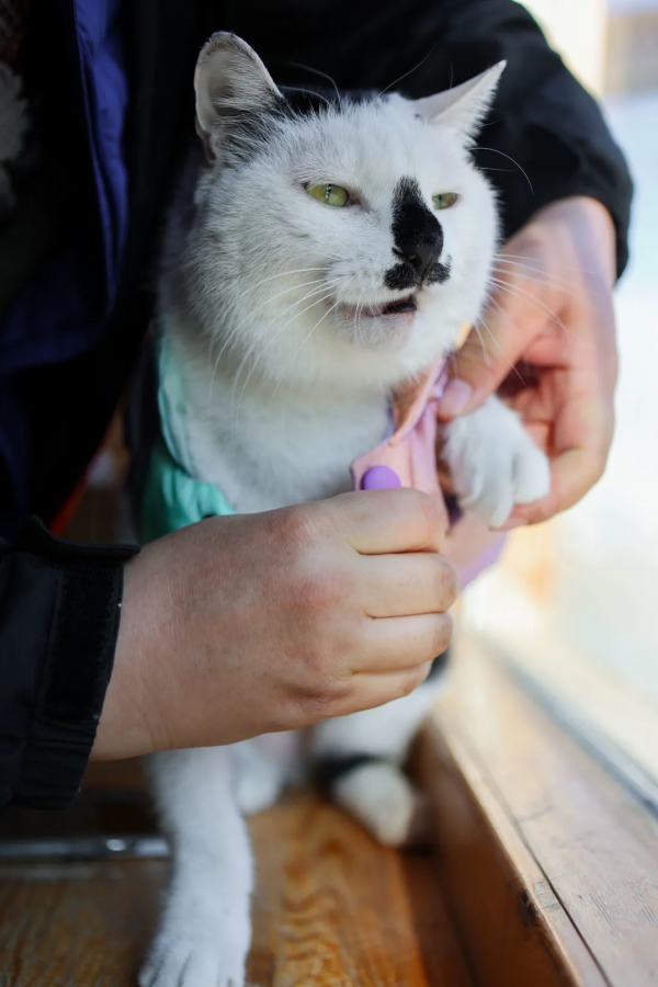 穿上馬甲我就不認識你了？