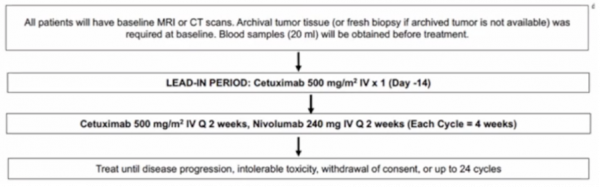 年終大盤點｜楊坤禹教授回顧頭頸腫瘤的臨床研究進展