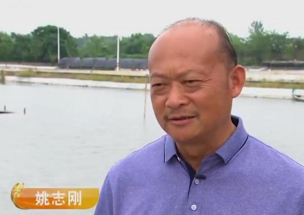 姚志剛:不到兩萬元入行,養龜鱉絕地翻身,年賣甲魚達千萬元 姚志剛:不到兩萬元入行,養龜鱉絕地翻身,年賣甲魚達千萬元