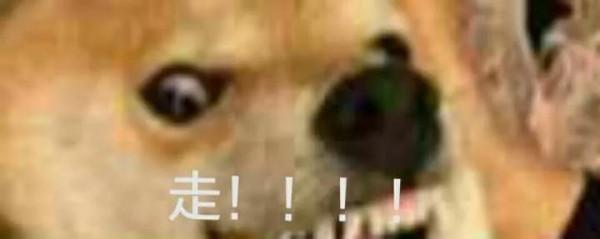 早知道，還得是原道