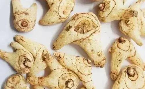 促進消化性潰瘍癒合，四味中藥，解毒排膿，散痰溼凝結，斂瘡生肌