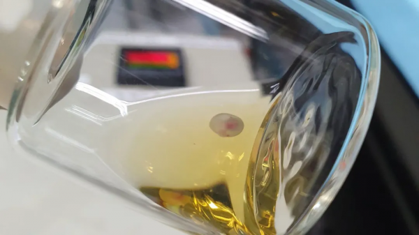 《科學》公佈2021年度十大科學突破 《科學》公佈2021年度十大科學突破