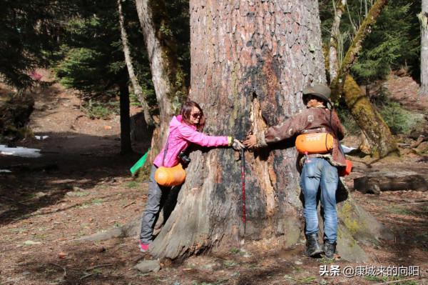 這條徒步線路太美了，這線路適合想去而沒有去過高原的人