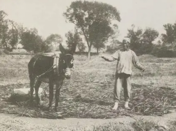 59年“國慶10週年大典”在即,毛主席:“顧貴山必須參加”,為何 59年“國慶10週年大典”在即,毛主席:“顧貴山必須參加”,為何