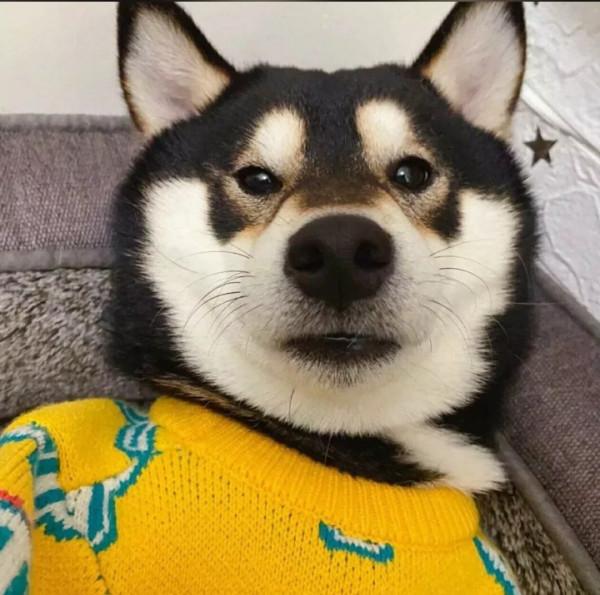 你相信#光#嗎？#奧特曼#抖音，遇見美好