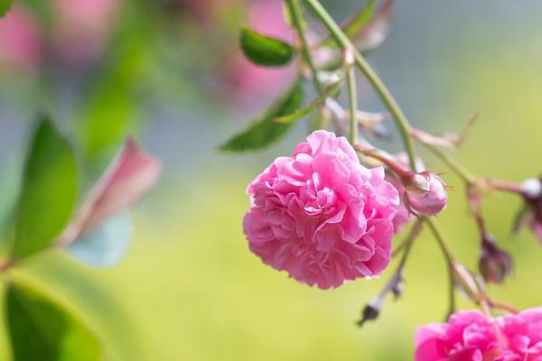 12星座週末運勢11.6-11.7,適合打破束縛,創造機遇,迎接變化 12星座週末運勢11.6-11.7,適合打破束縛,創造機遇,迎接變化