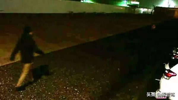 自動駕駛「感知」的革新？從人腦和蛙眼得到的啟示