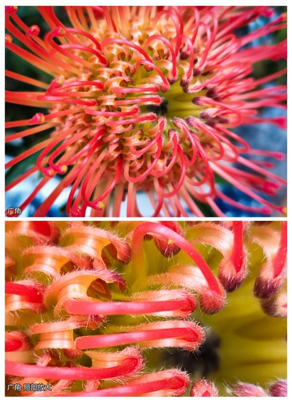 小米12 Pro影像體驗：完成度欠缺的旗艦，還有色偏傳染現象