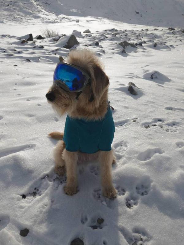 45張真實無PS照片,不看不知,用事實證明,動物們真的很可愛 45張真實無PS照片,不看不知,用事實證明,動物們真的很可愛