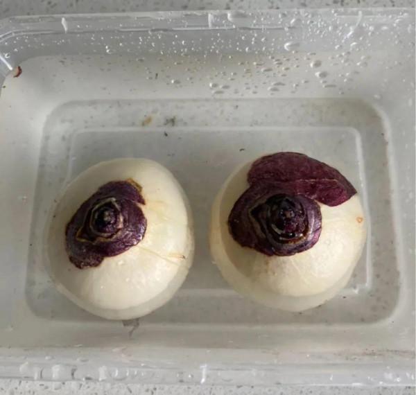 買花也要注意辨別“坑”,才能挑到好花,花開爆盆 買花也要注意辨別“坑”,才能挑到好花,花開爆盆