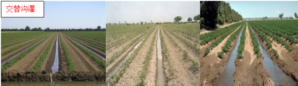 噴灌、滴灌、水平、湧流……哪種灌溉方式最節水？