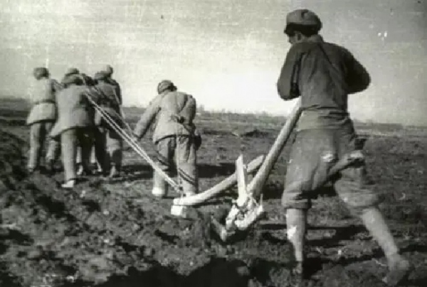 新疆生產建設兵團被撤銷6年，為何在1981年，鄧小平決策將其恢復